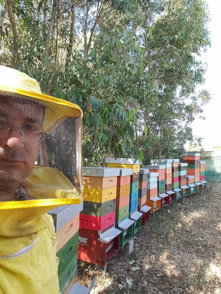 Gli apicoltori sardi