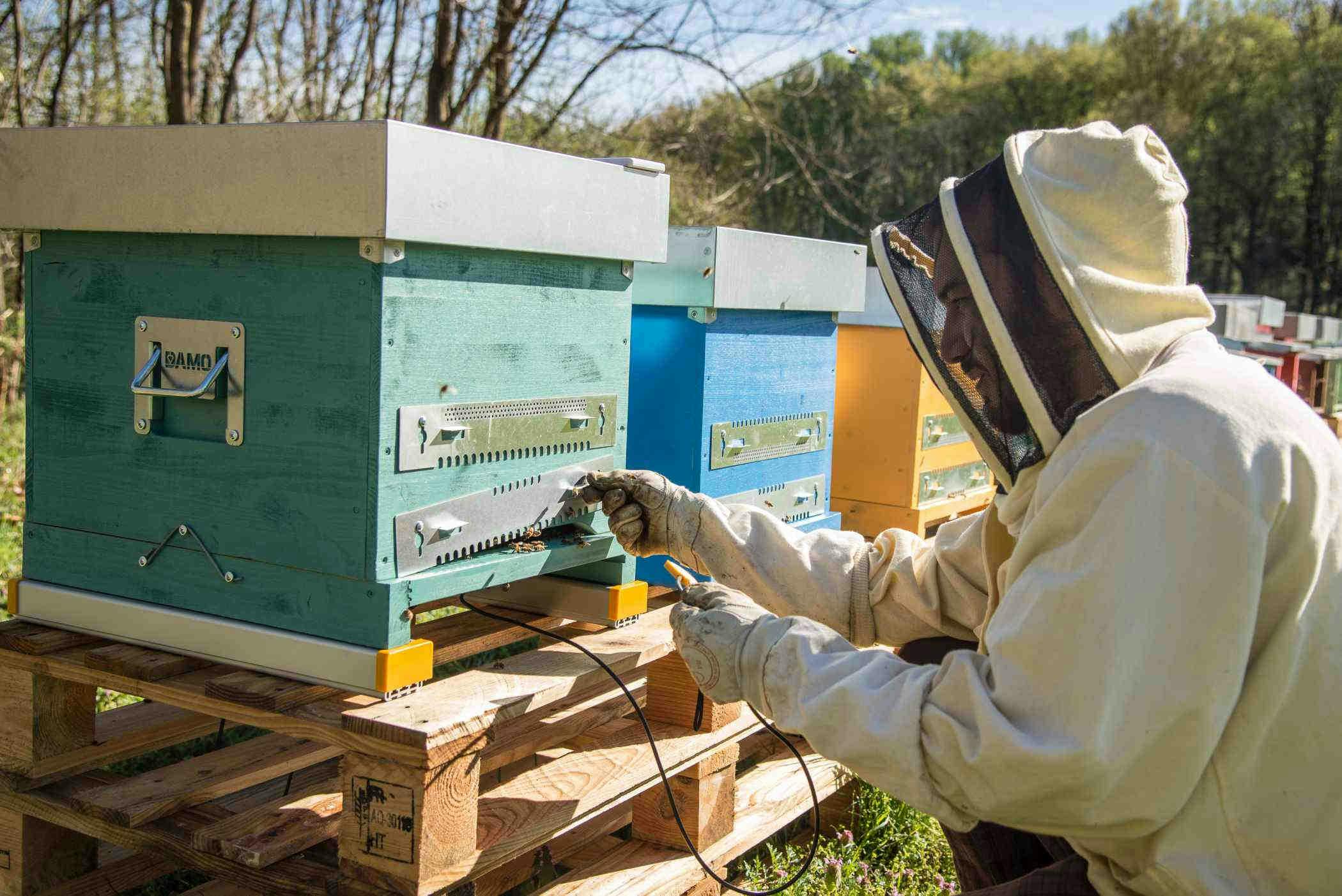 Kontrollieren Sie ihre Bienen mit Fernüberwachung